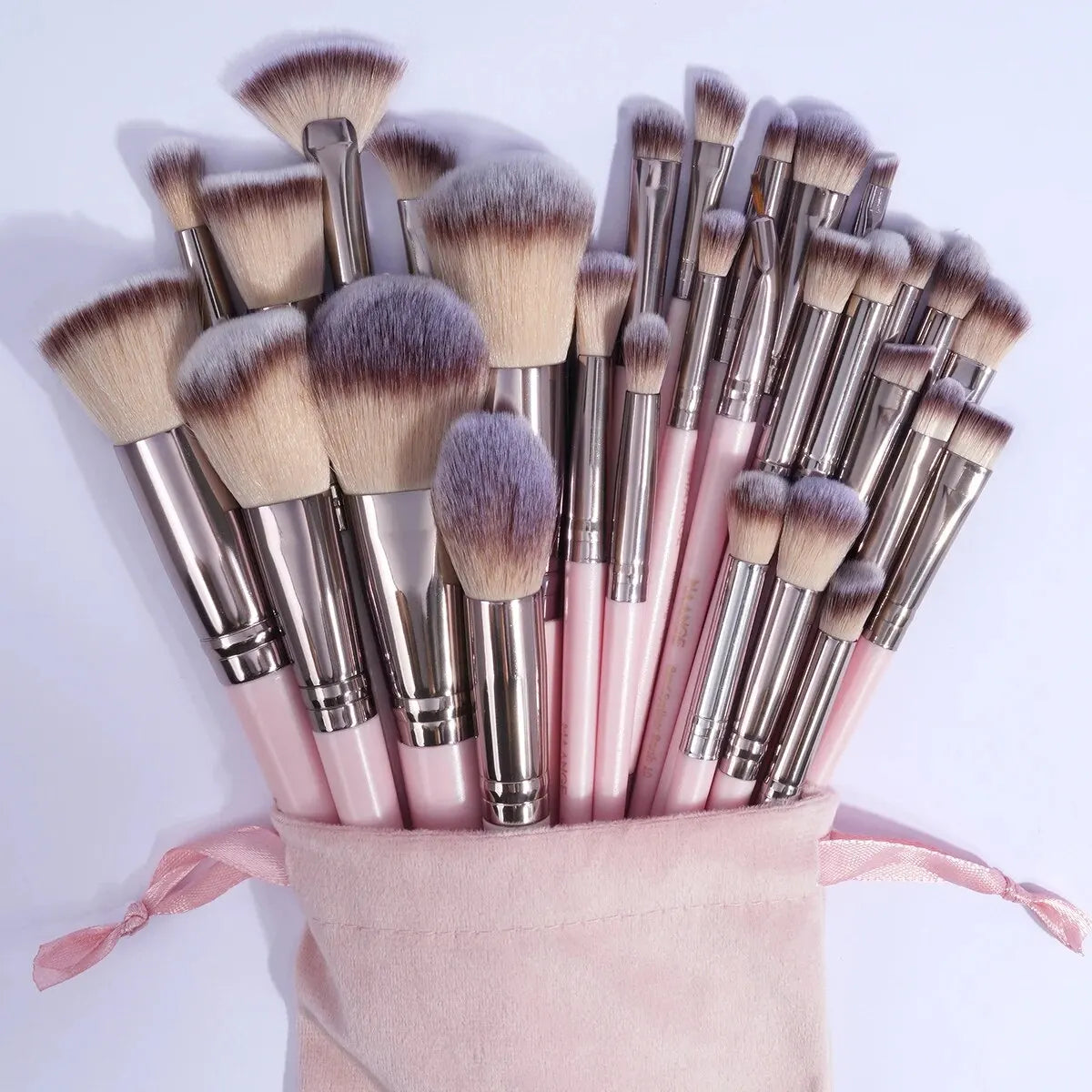 Professional Makeup Brush Set